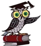 sowa png